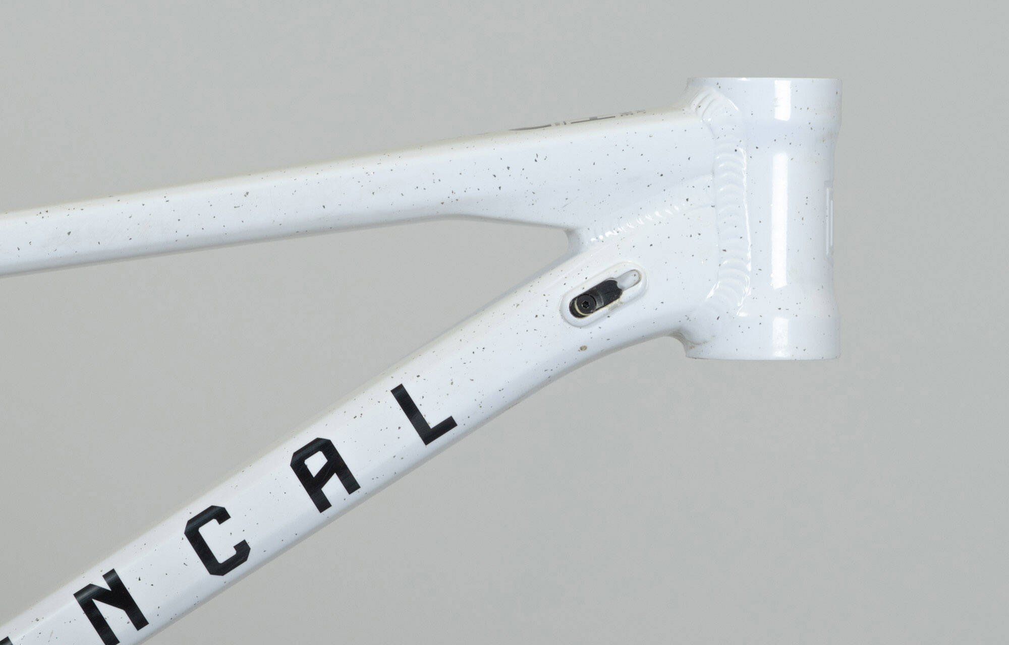 FRAME COMMENCAL SUPREME DH V5 GLITTERY WHITE - L (24252803) image large number 1