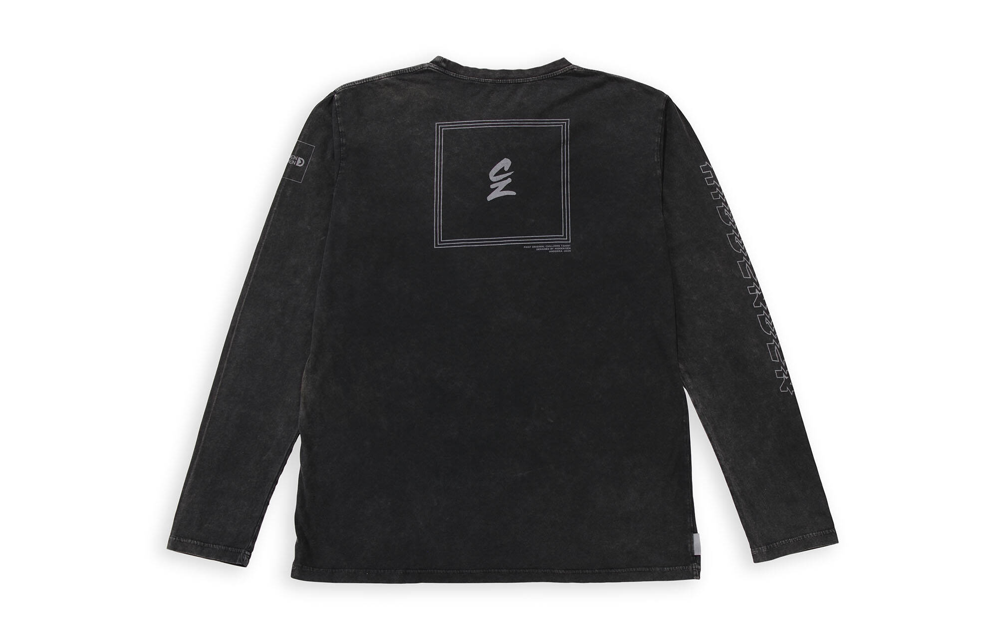 HIDDEN-DEN LONG SLEEVE T-SHIRT N&deg;5 / CHILLZONE image large number 0