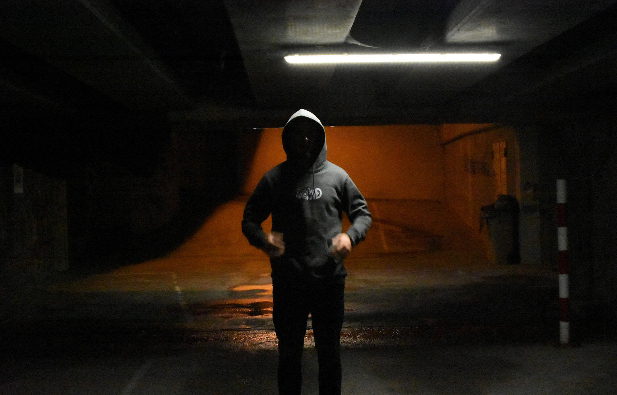 HOODIE HIDDEN-DEN N&deg;6 image large number 4