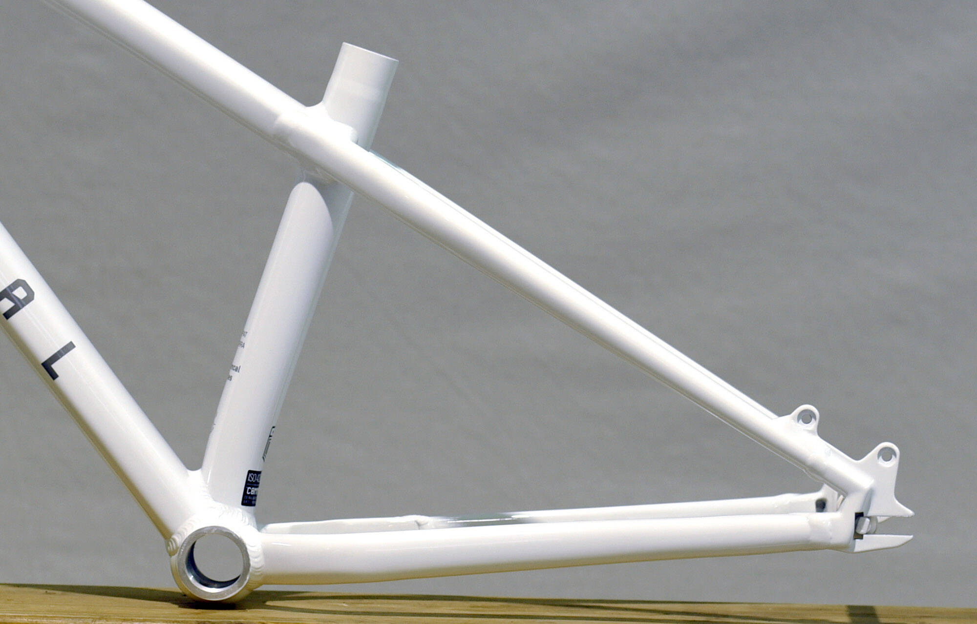 VIP COMMENCAL ABSOLUT PURE WHITE / ROCKSHOX PIKE DJ SILVER - S (22240401) image large number 5