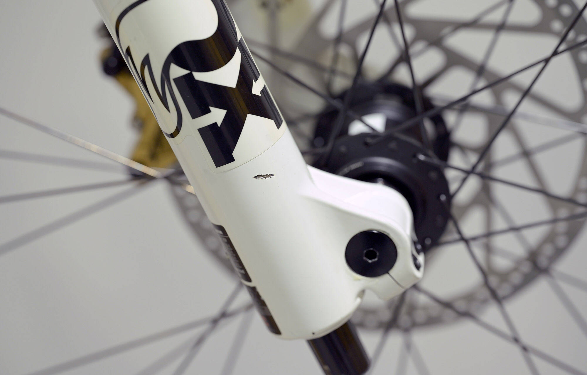 COMMENCAL SUPREME DH V5 SIGNATURE LTD GLITTERY WHITE - L (23151003) image large number 7