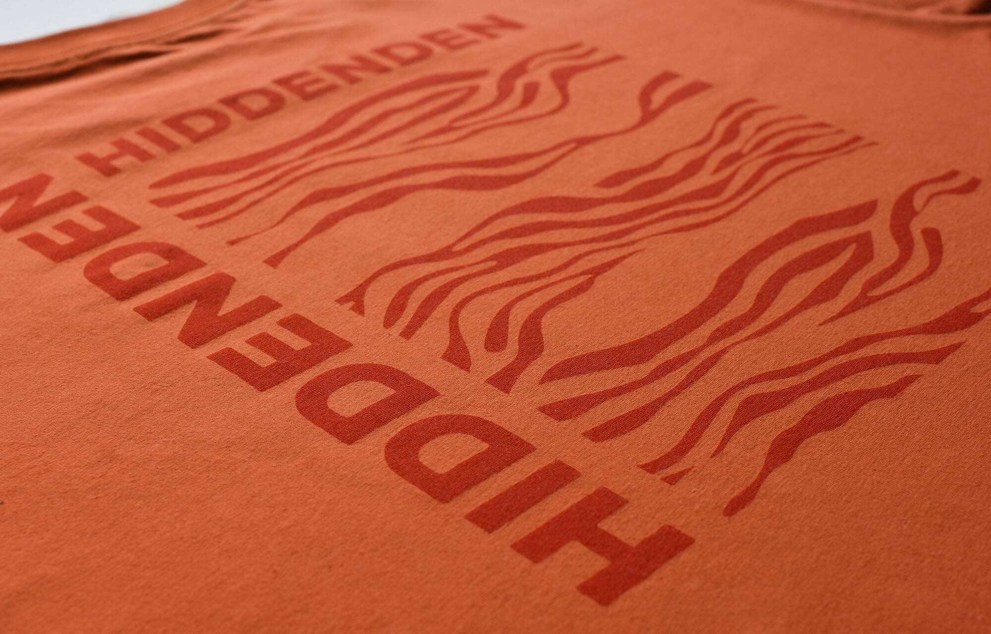 HIDDEN-DEN N&deg;2 T-SHIRT image large number 2