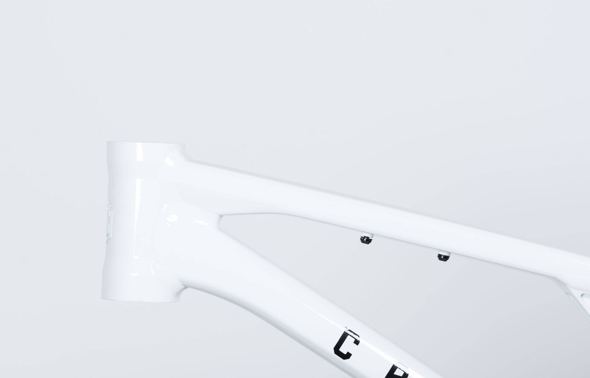 FRAME COMMENCAL T.E.M.P.O PURE WHITE - L (22123203) image large number 3