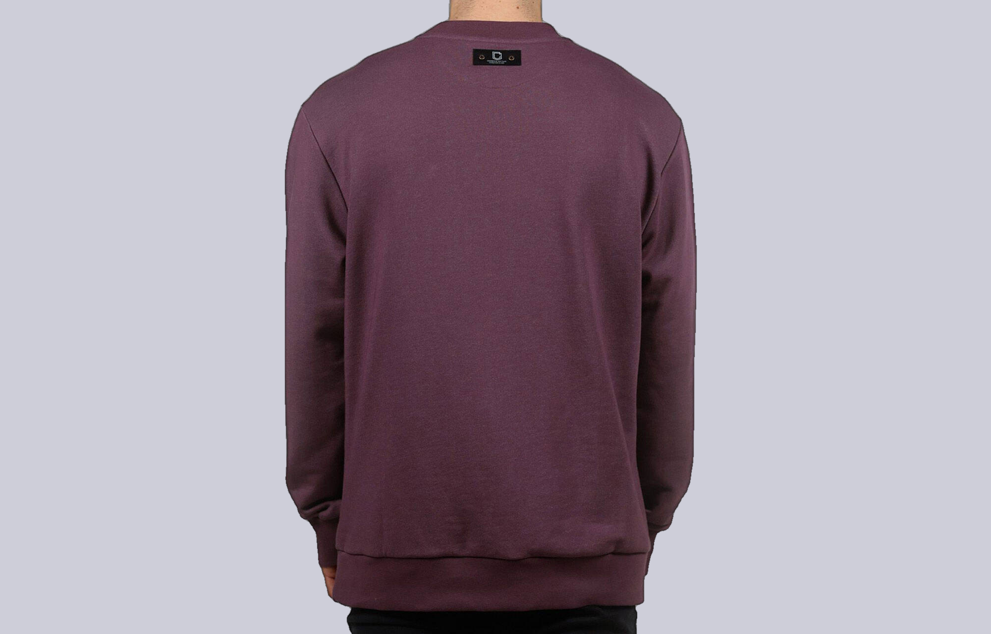 CREWNECK COMMENCAL REGULAR FIT OLD PURPLE image large number 1