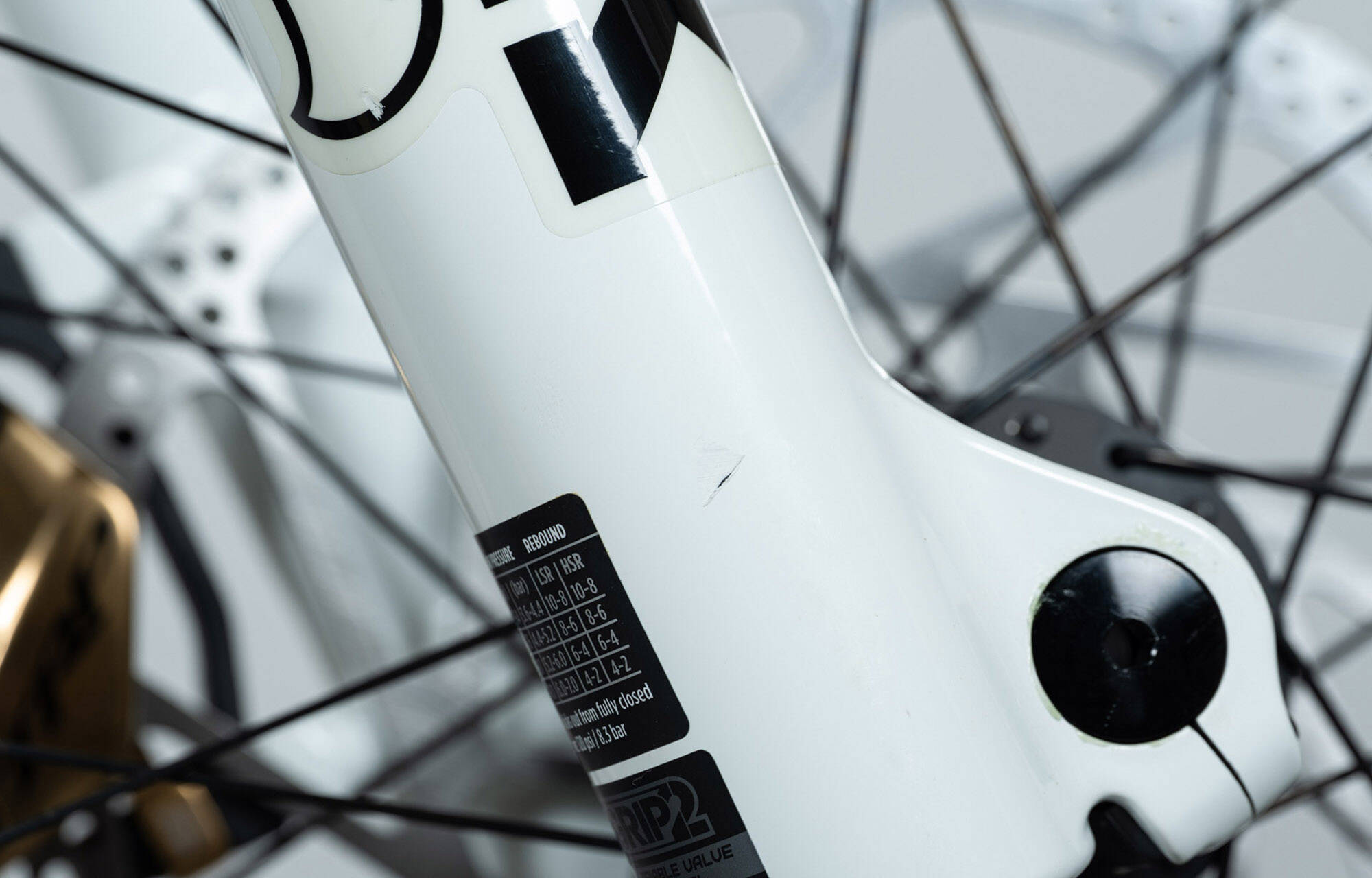COMMENCAL SUPREME DH V5 SIGNATURE LTD PURE WHITE - L (23151003) image large number 8