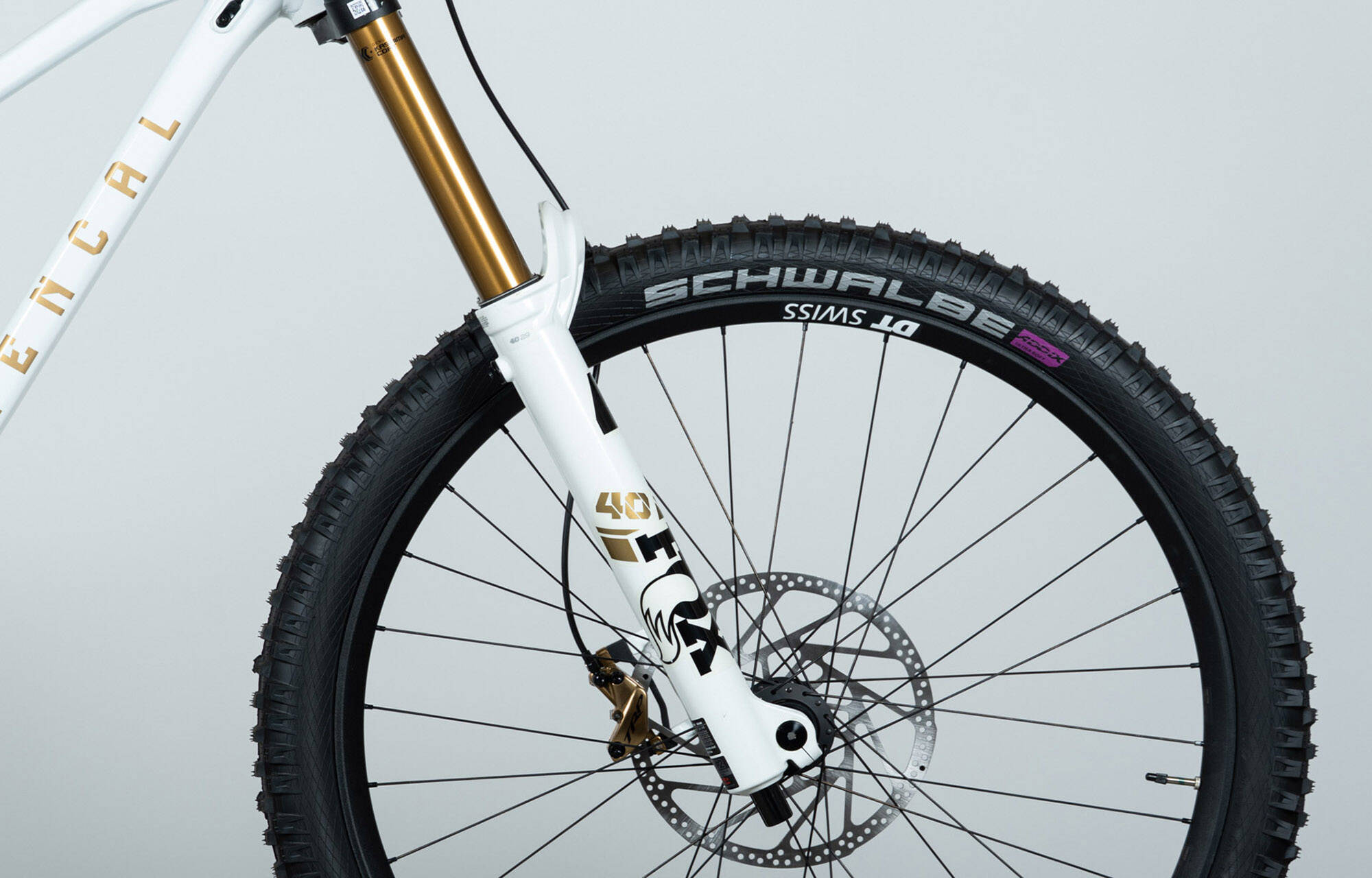 COMMENCAL SUPREME DH V5 SIGNATURE LTD PURE WHITE - L (23151003) image large number 1