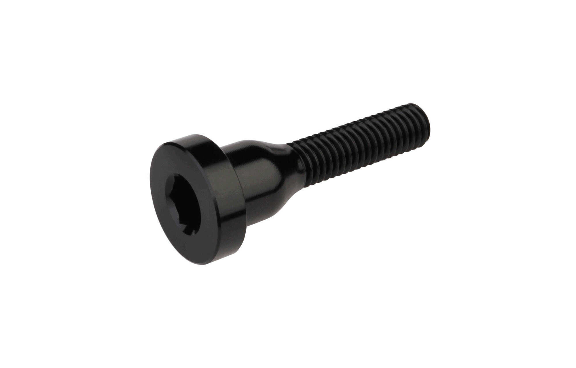 TORNILLO TOP CAP BURGTEC image cover number 0