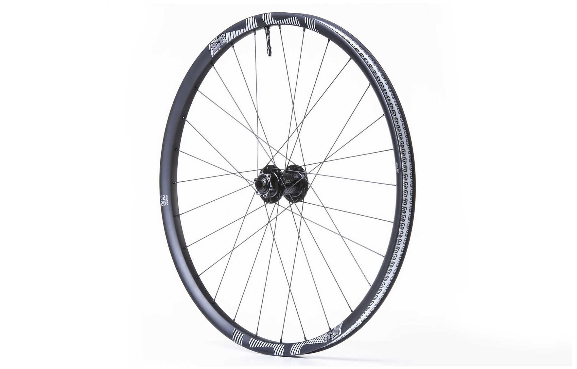 RUOTA ANTERIORE E13 LG1 RACE CARBON ENDURO 15 X 110 BOOST 29" image cover number 0