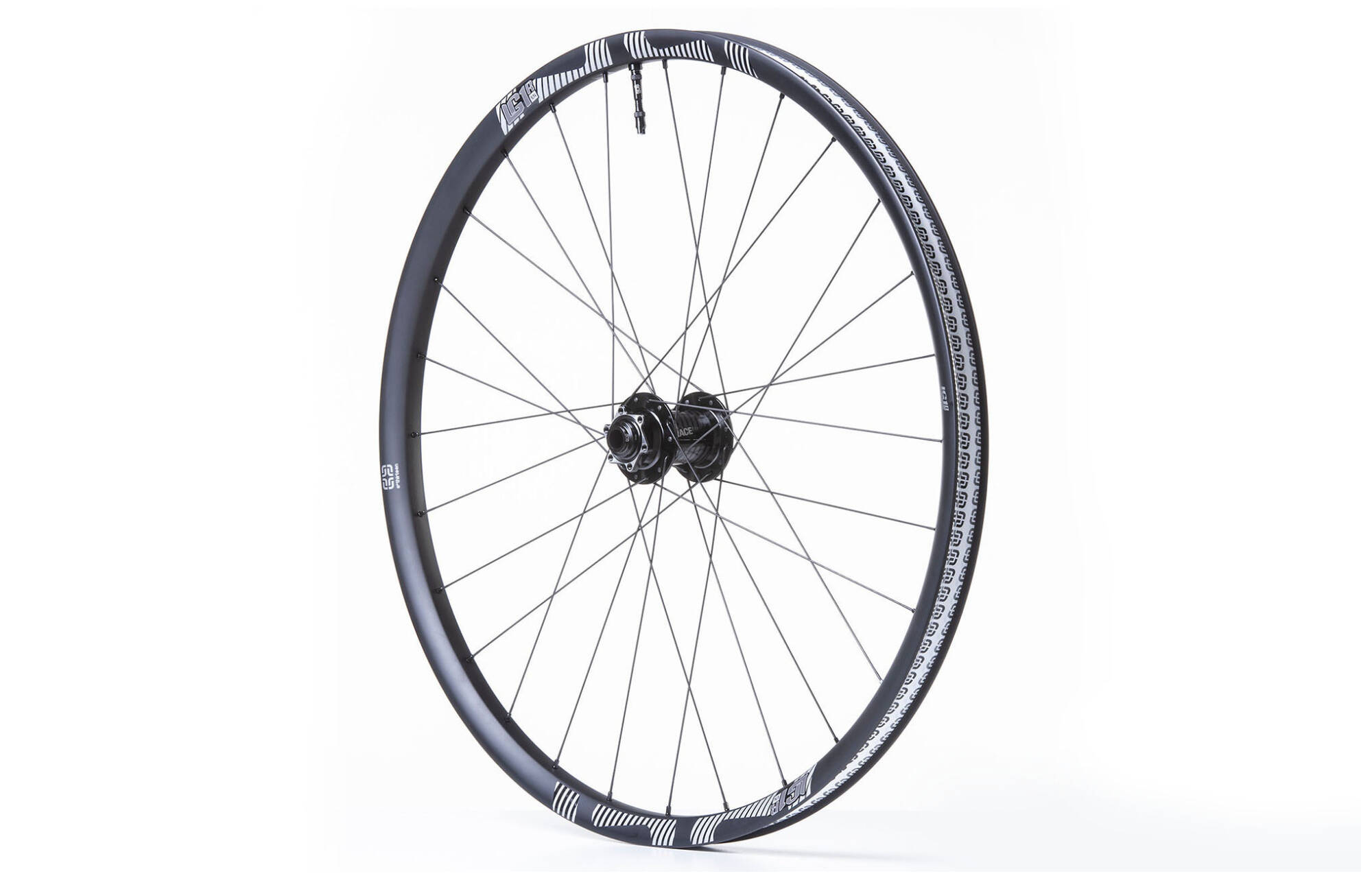 E13 LG1 RACE CARBON ENDURO 15 X 110 BOOST VORDERRAD 29" image cover number 0