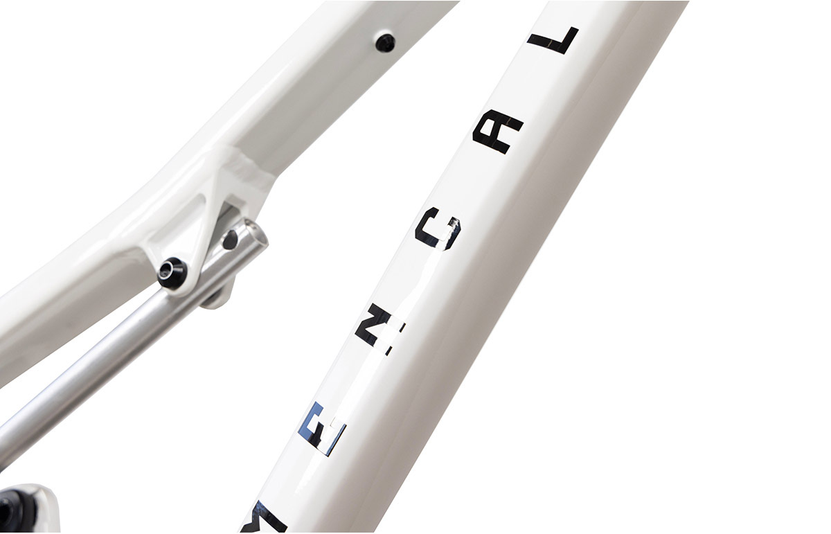 FRAME COMMENCAL T.E.M.P.O. PURE WHITE (L) image number null