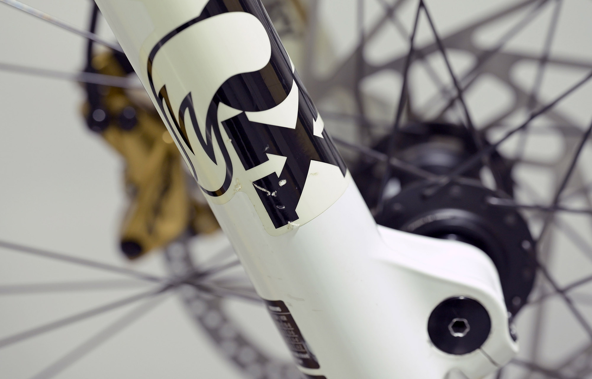 COMMENCAL SUPREME DH V5 SIGNATURE LTD PURE WHITE - M (23151002) image cover number large 8