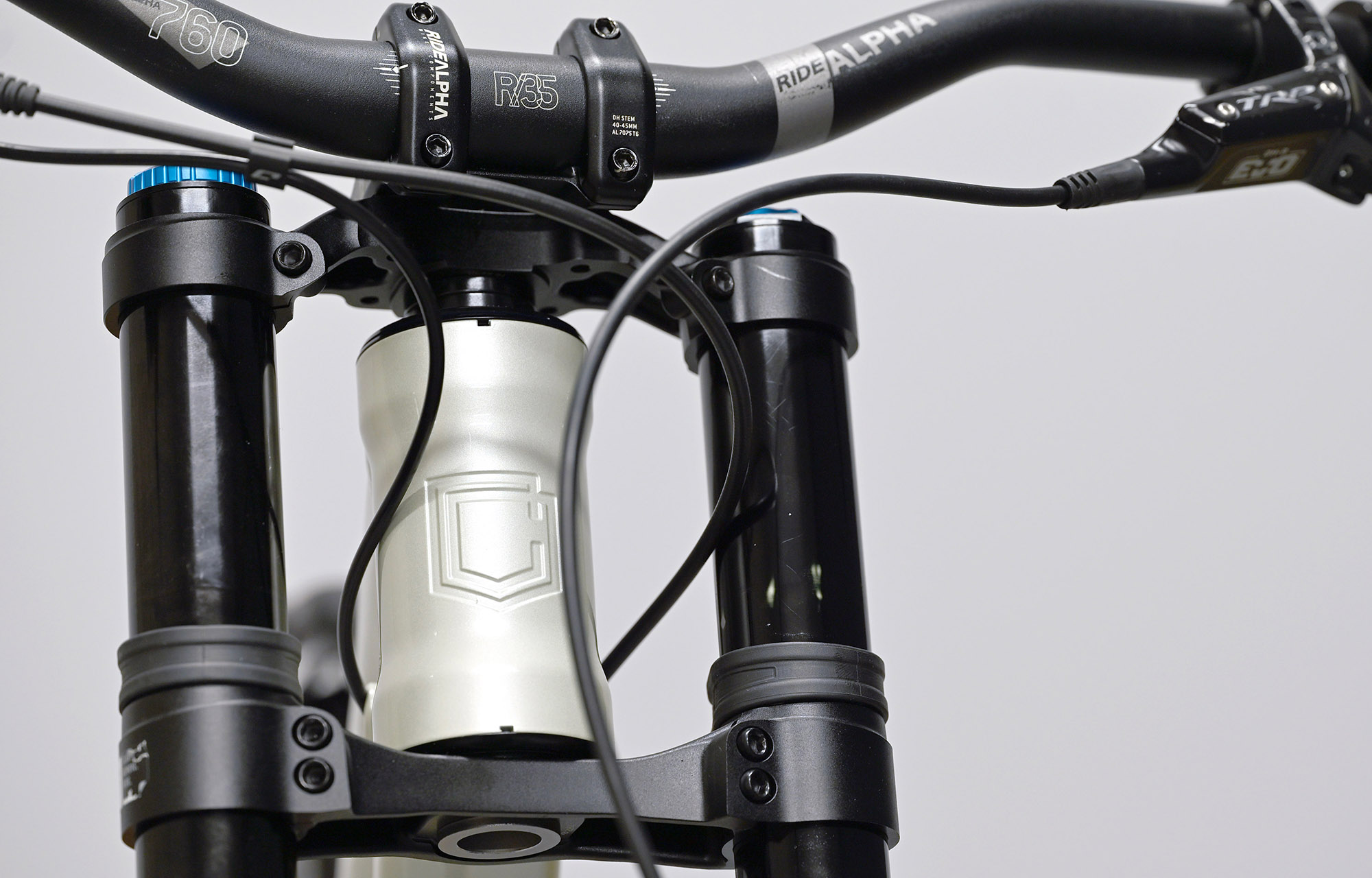 COMMENCAL SUPREME DH V5 ESSENTIAL CLEAR SILVER - M (23150102) image number null