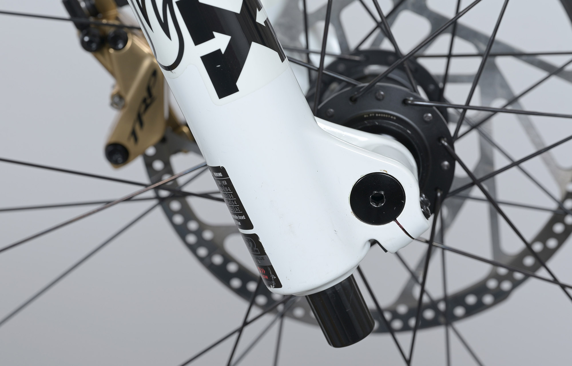 COMMENCAL SUPREME DH V5 SIGNATURE LTD PURE WHITE - L (23151003) image cover number large 9