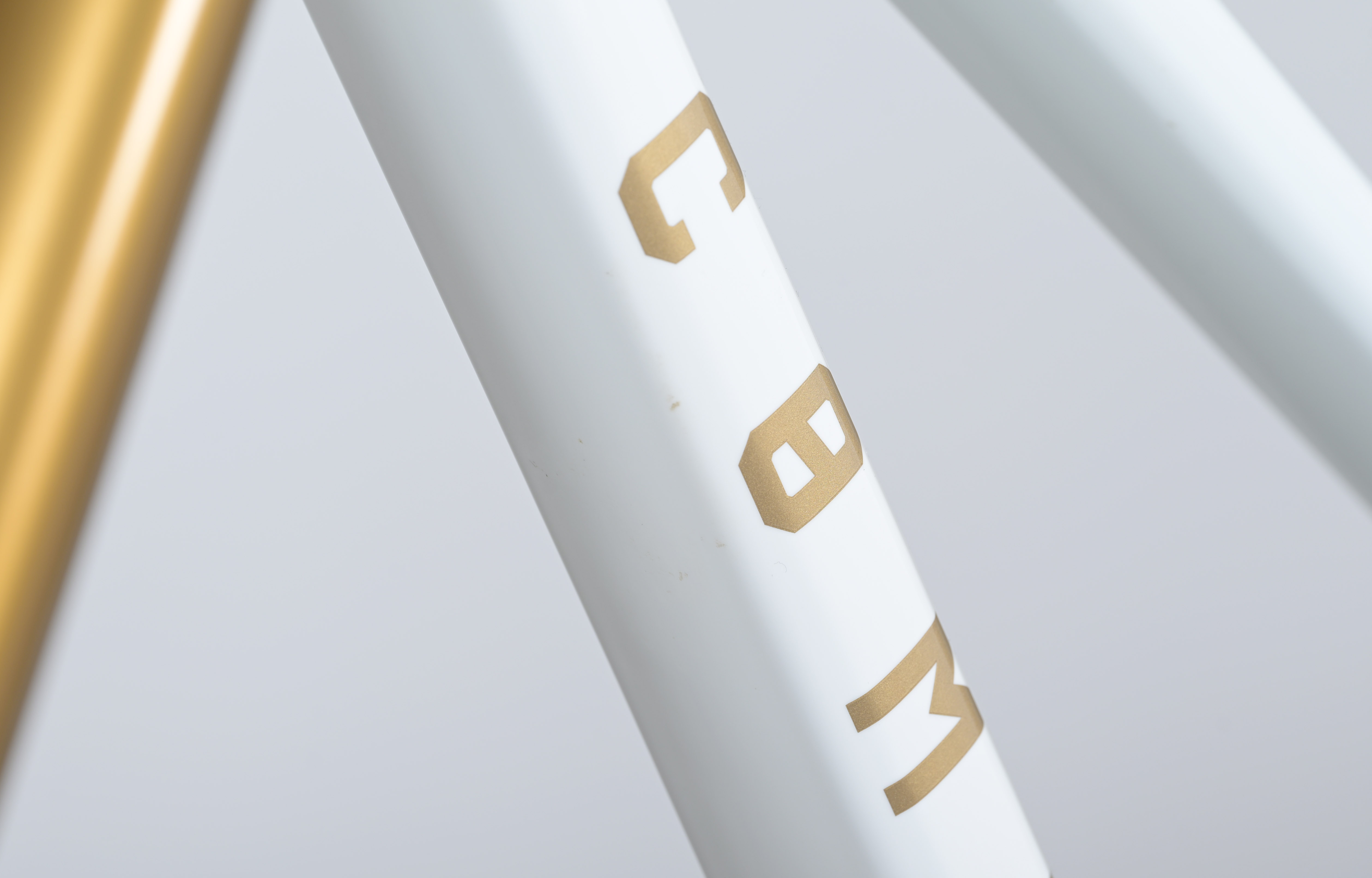 COMMENCAL SUPREME DH V5 SIGNATURE LTD PURE WHITE - L (23151003) image large number 15