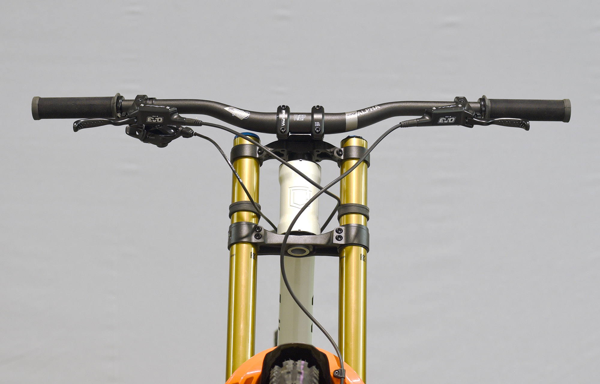 COMMENCAL SUPREME DH V5 SIGNATURE CLEAR SILVER - L (23151303) image number null