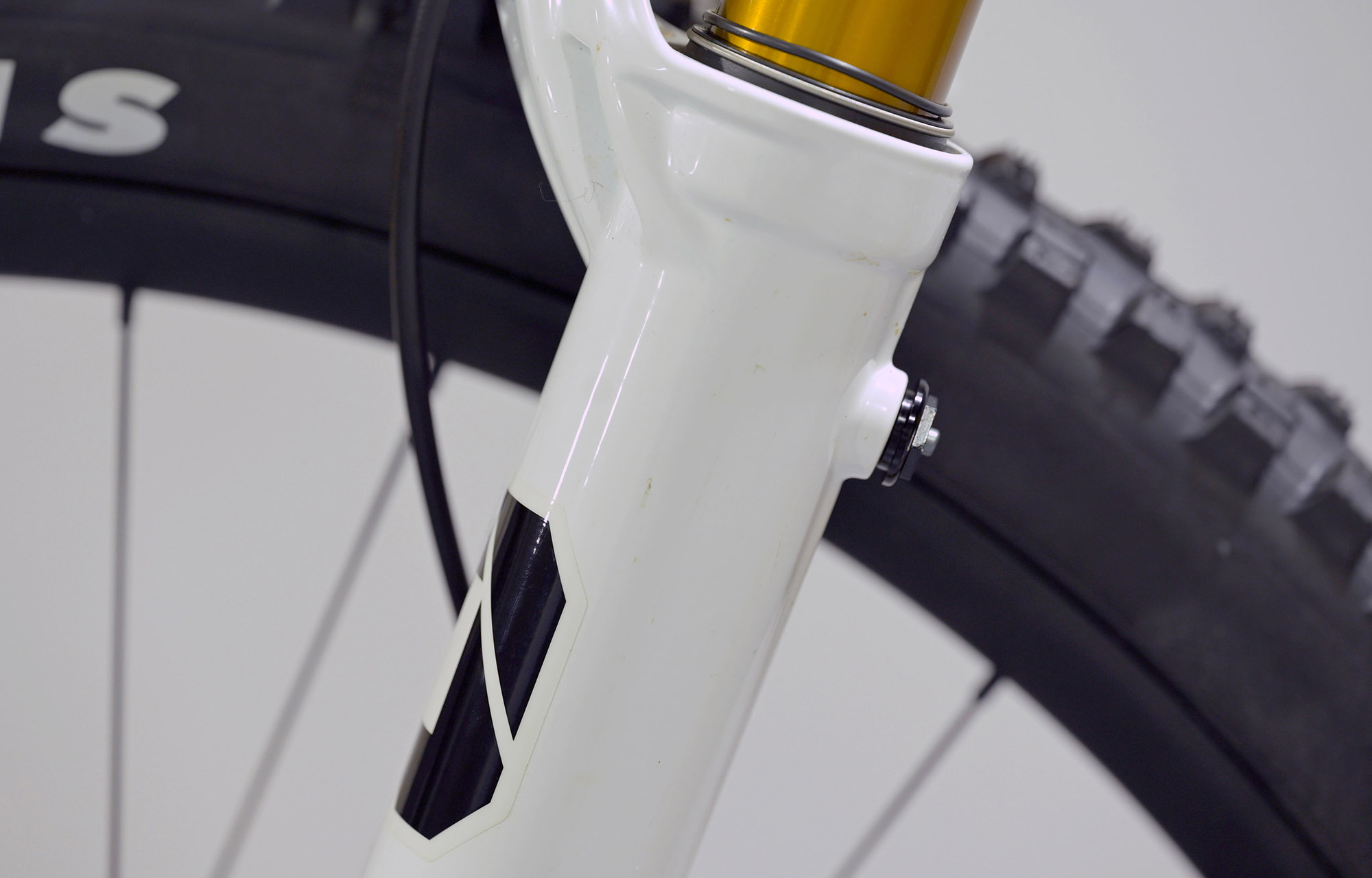COMMENCAL SUPREME DH V5 SIGNATURE LTD PURE WHITE - M (23151002) image large number 14