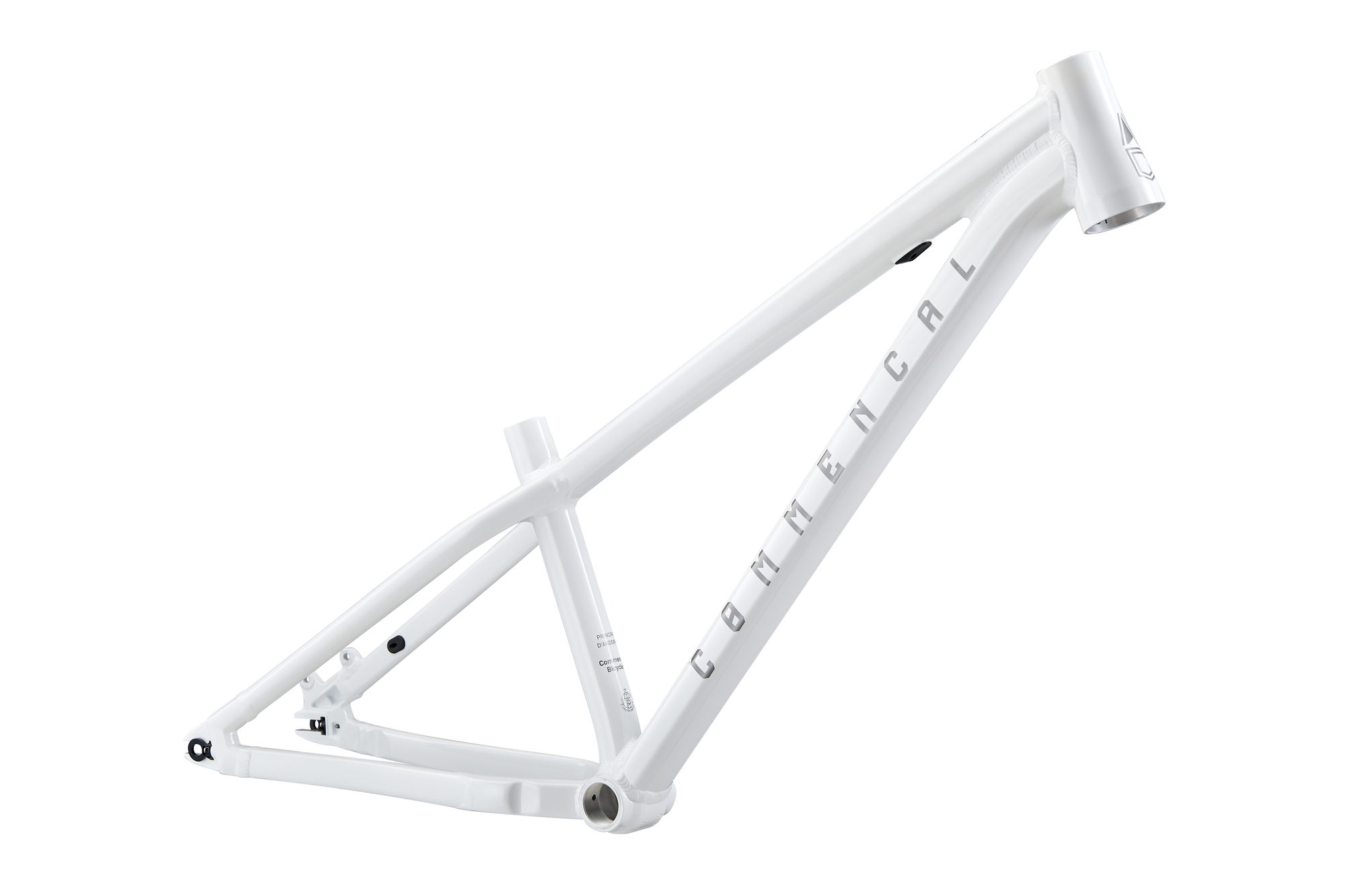 CADRE COMMENCAL ABSOLUT 2025 image large number 0