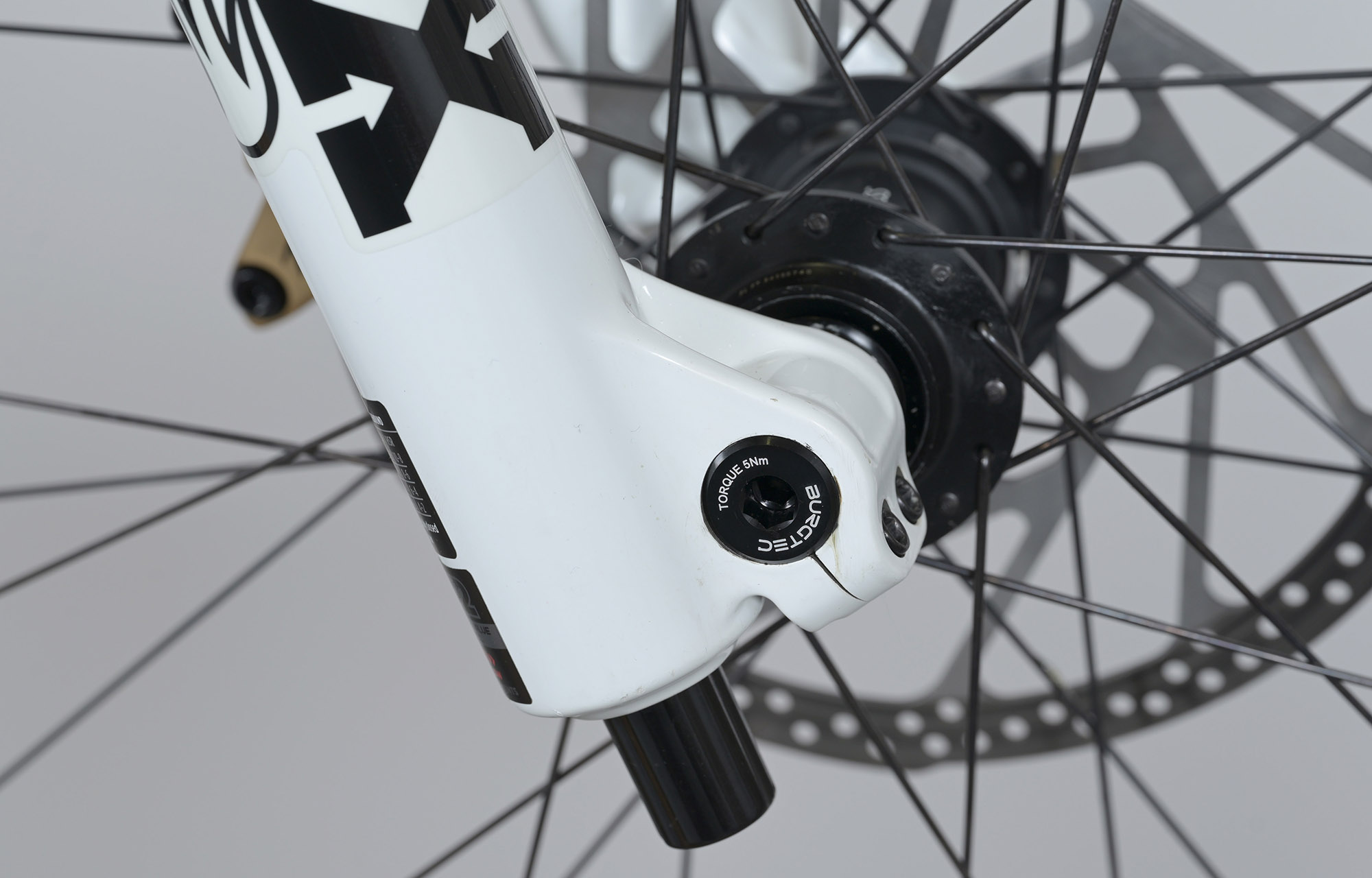 COMMENCAL SUPREME DH V5 SIGNATURE LTD PURE WHITE - M (23151002) image cover number large 5