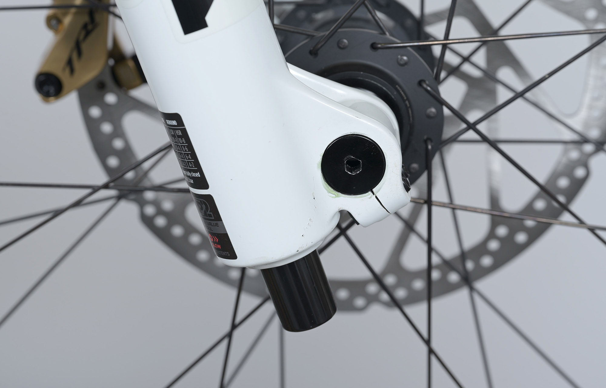 COMMENCAL SUPREME DH V5 SIGNATURE LTD PURE WHITE - M (23151002) image cover number large 7