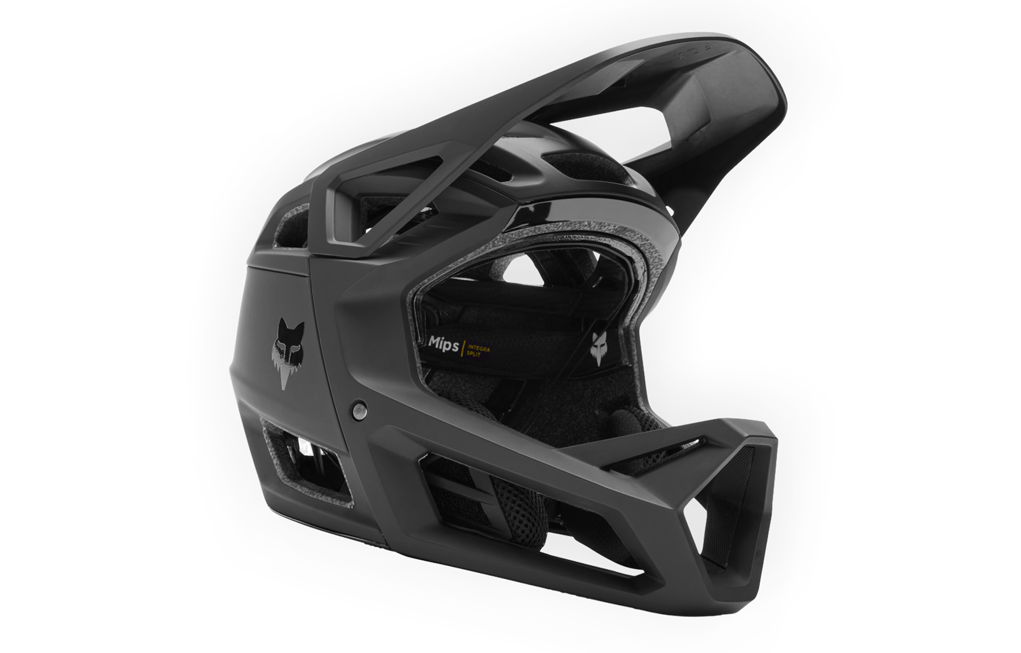 CASQUE FOX  PROFRAME RS BLACK image cover number 0