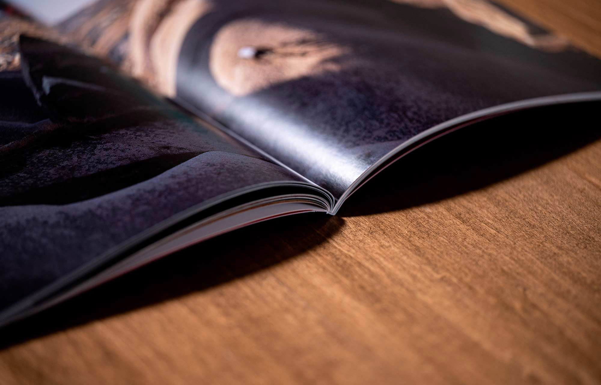 THE JOURNAL VOLUME 3 FOLLOW THE LIGHT image number 2