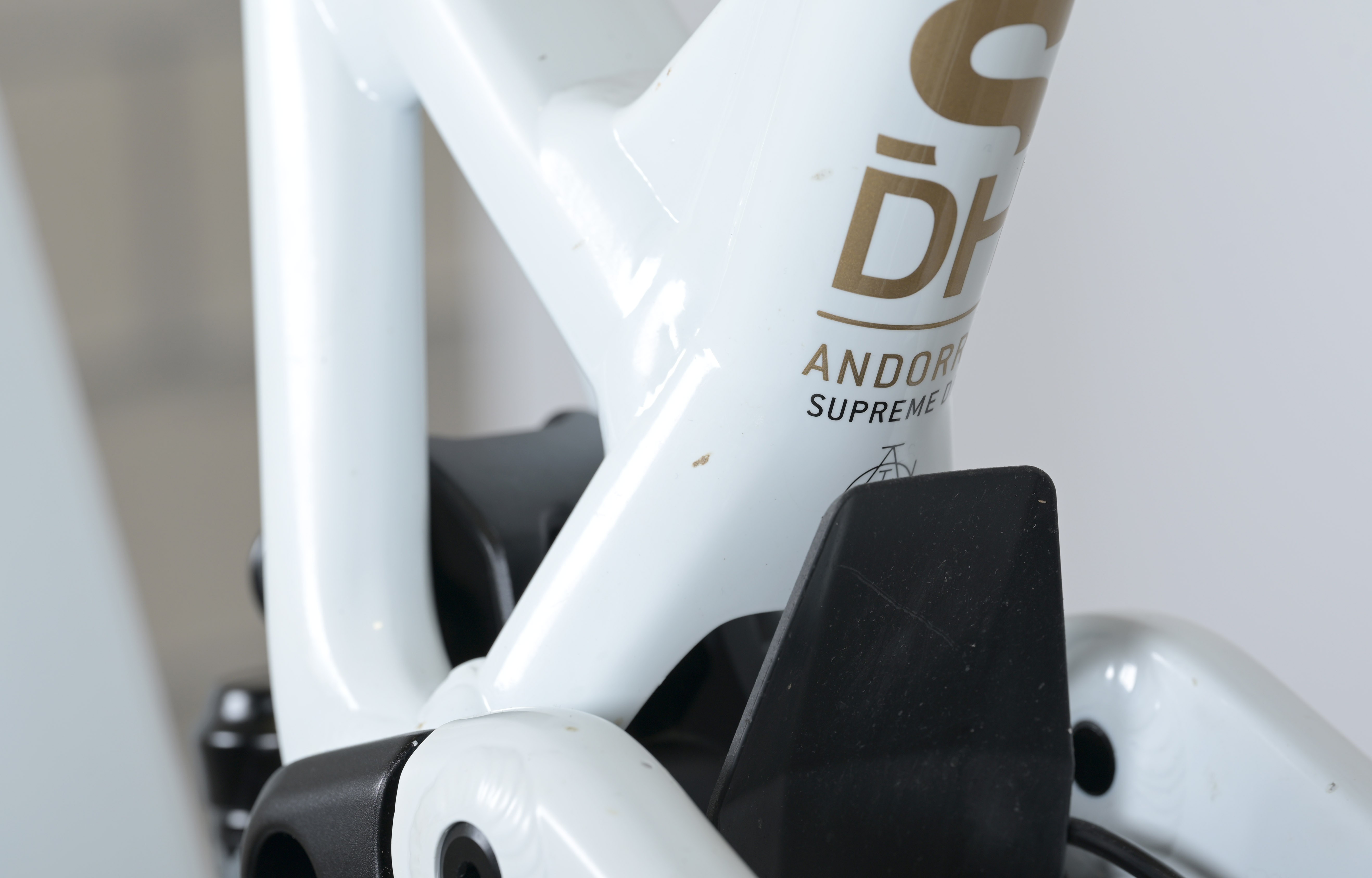 COMMENCAL SUPREME DH V5 SIGNATURE LTD PURE WHITE - M (23151002) image large number 15