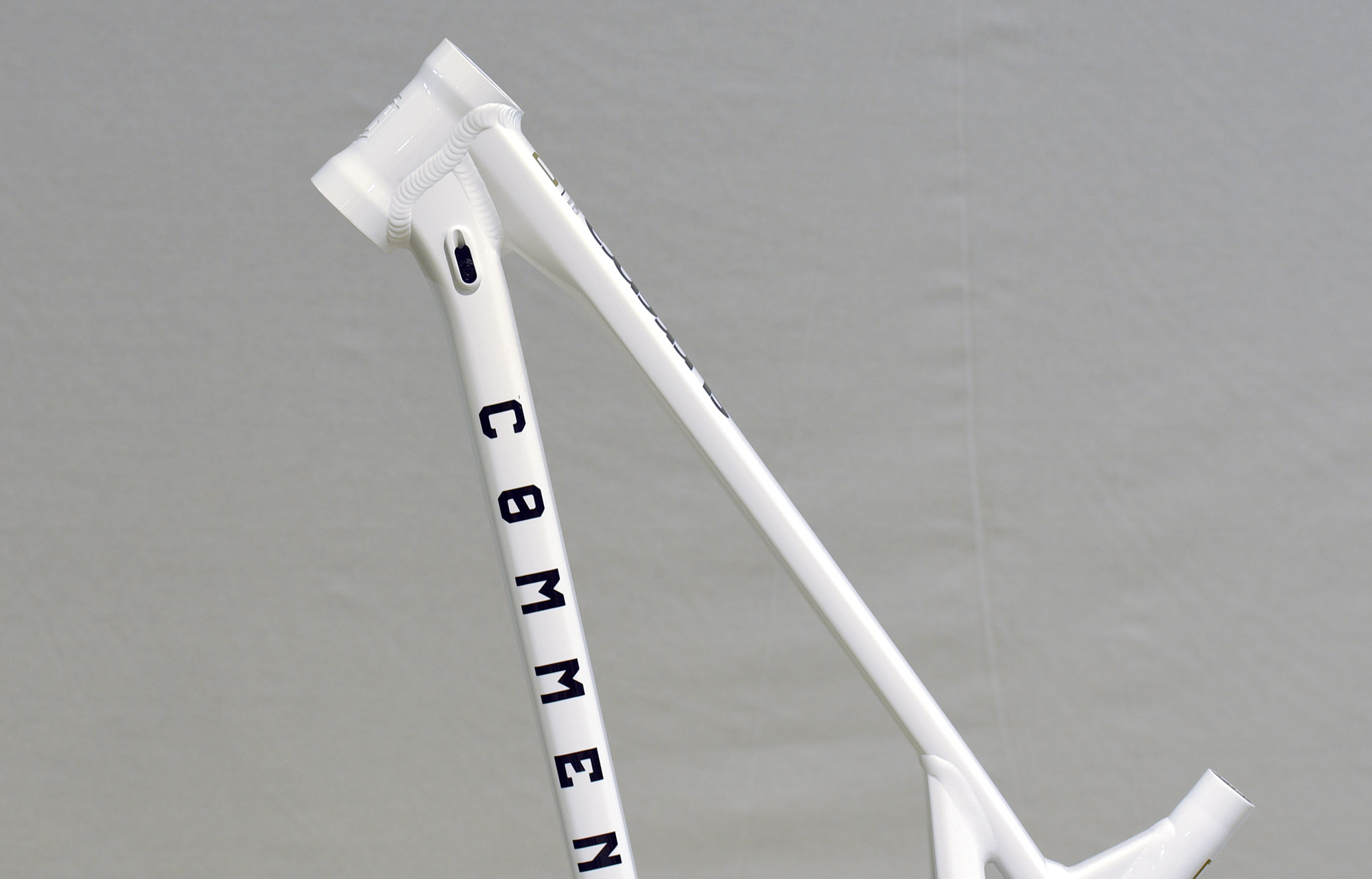 FRAME COMMENCAL SUPREME DH V5 PURE WHITE - L (22250703) image number null