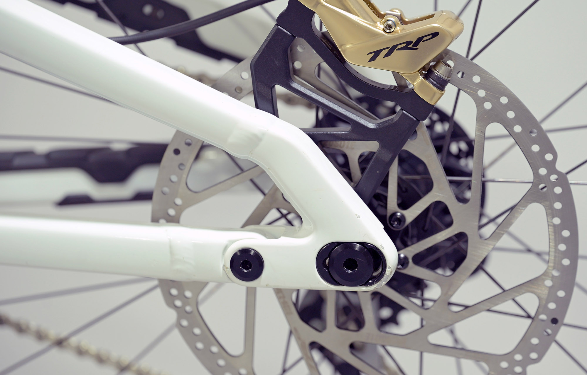 COMMENCAL SUPREME DH V5 SIGNATURE LTD PURE WHITE - M (23100055) image cover number large 6