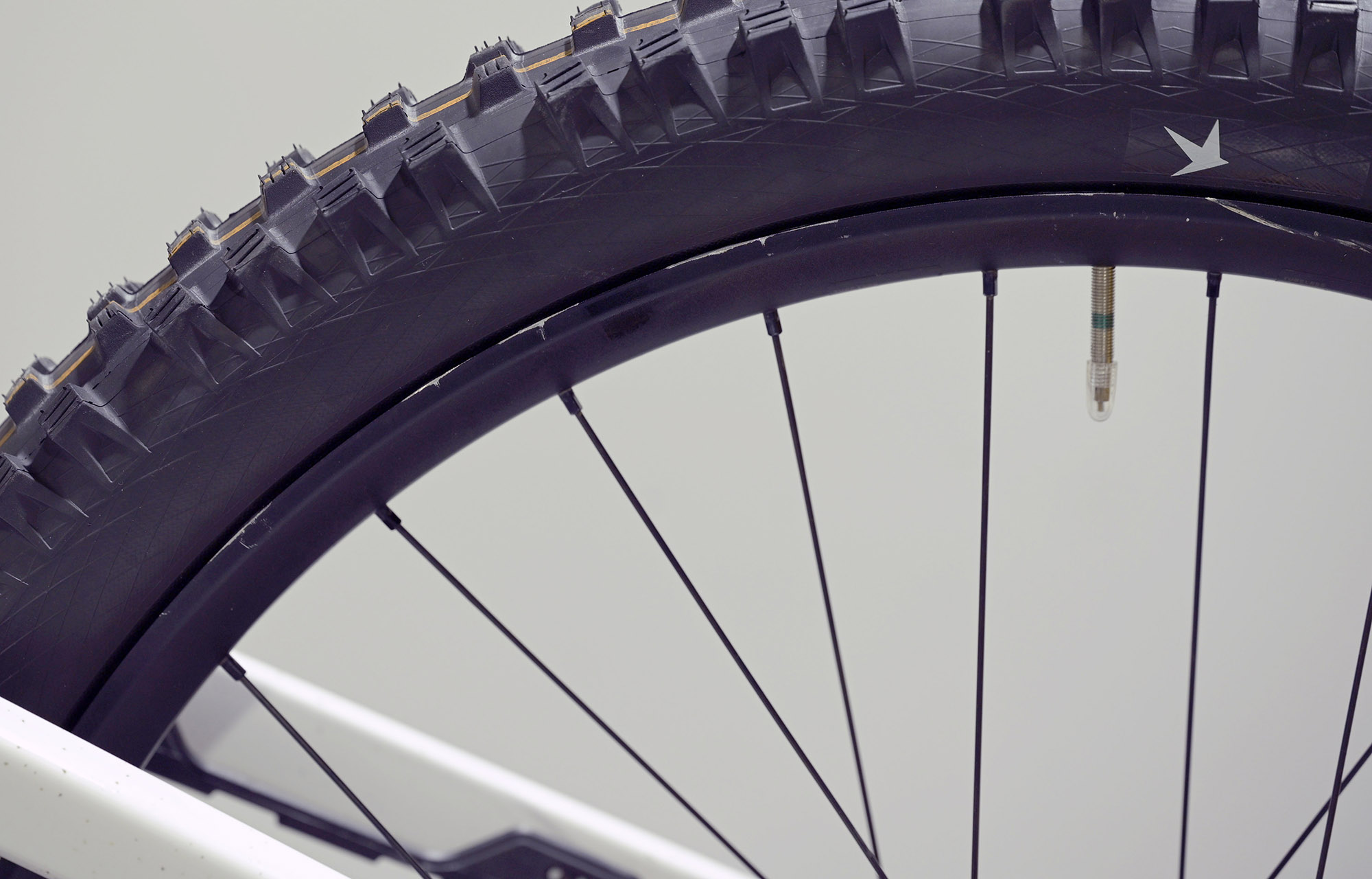 COMMENCAL SUPREME DH V5 SIGNATURE LTD GLITTERY WHITE - L (23151003) image large number 10