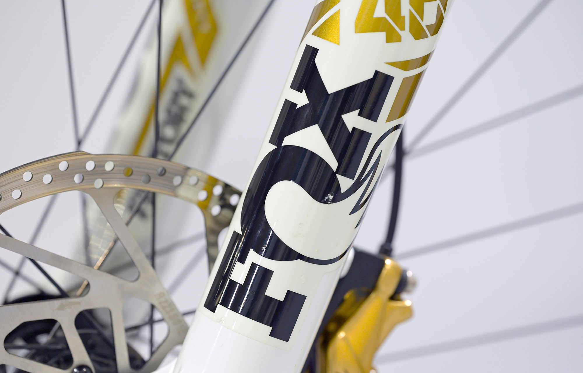 COMMENCAL SUPREME DH V5 SIGNATURE LTD PURE WHITE - M (23151002) image large number 15