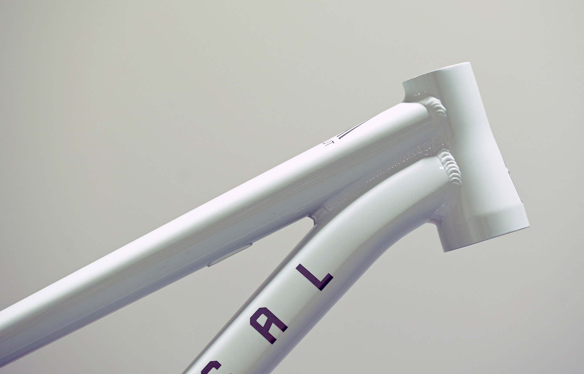 FRAME COMMENCAL ABSOLUT PURE WHITE - M (22240402) image number null