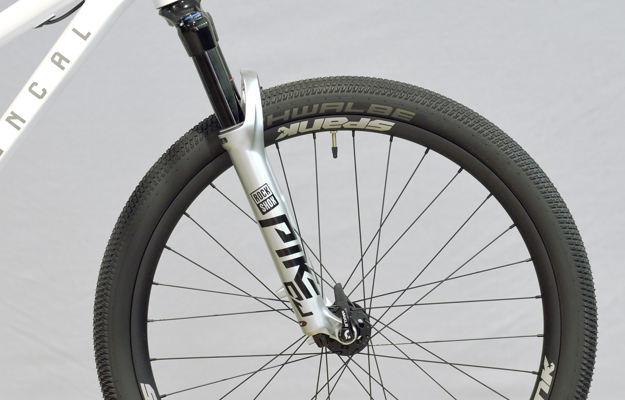 COMMENCAL ABSOLUT RS PURE WHITE - M (22140502) image number null
