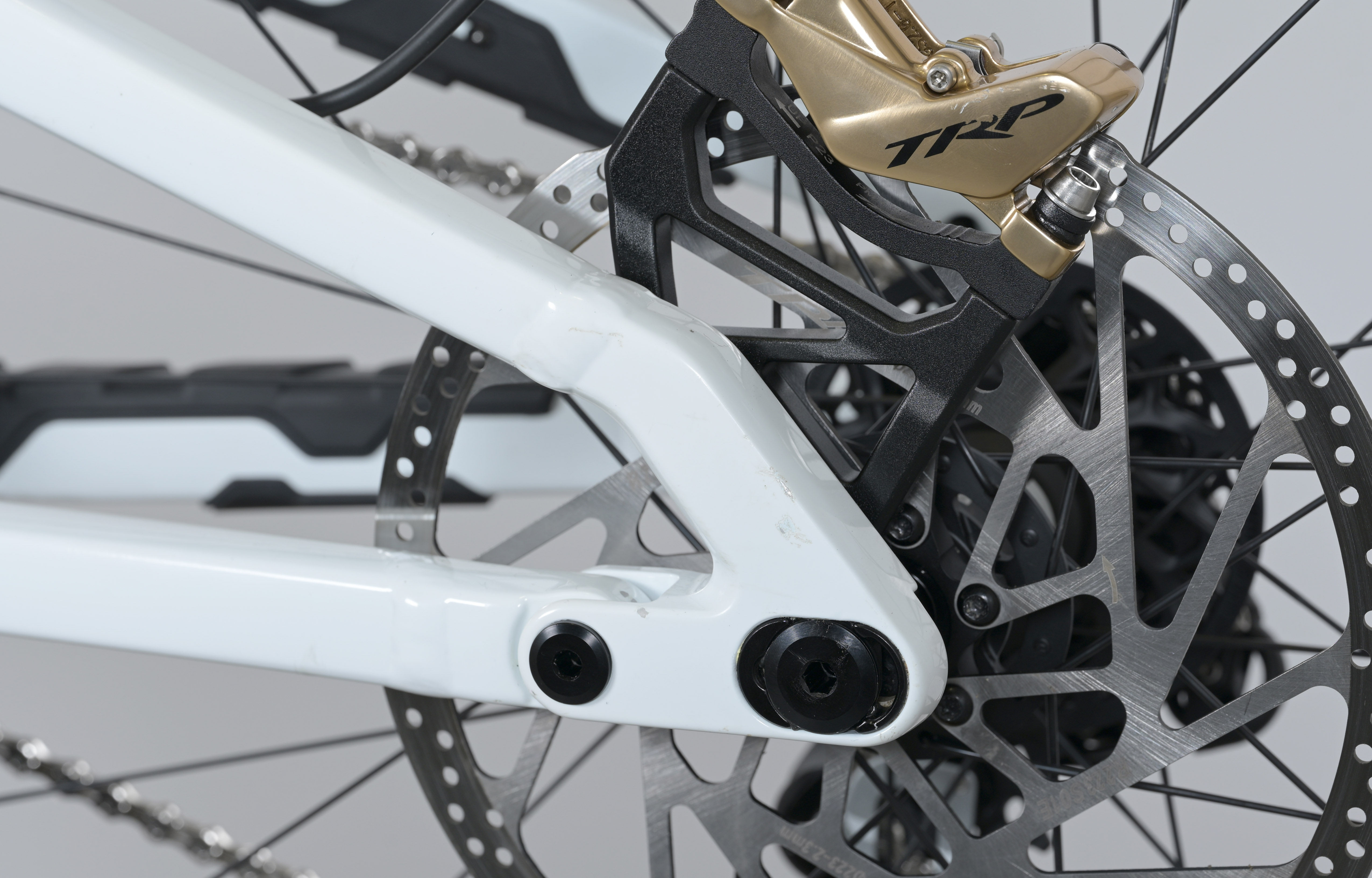 COMMENCAL SUPREME DH V5 SIGNATURE LTD PURE WHITE - L (23151003) image large number 11
