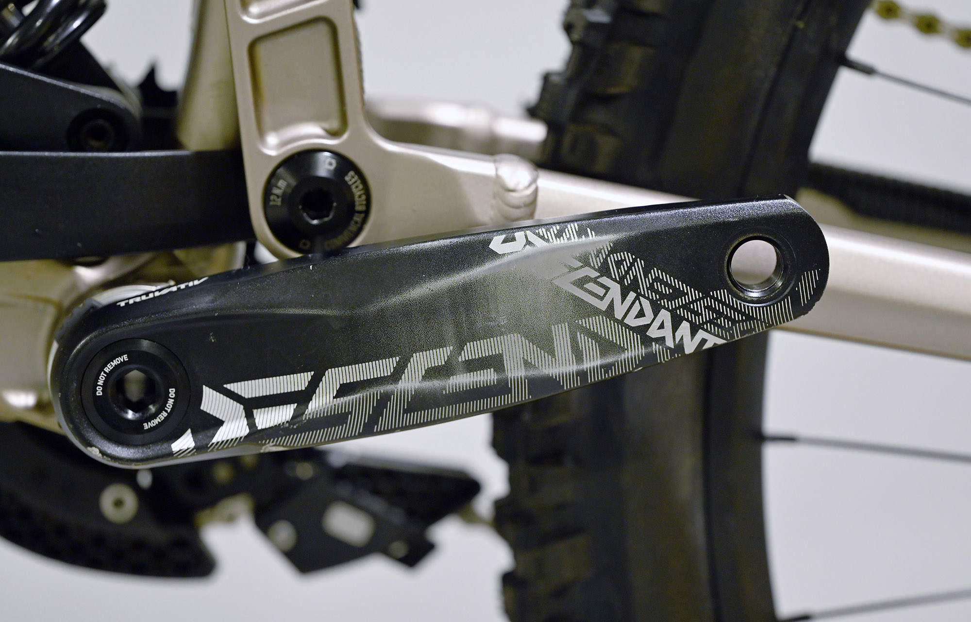 COMMENCAL SUPREME DH RACE CHAMPAGNE - M (22150102) image number null